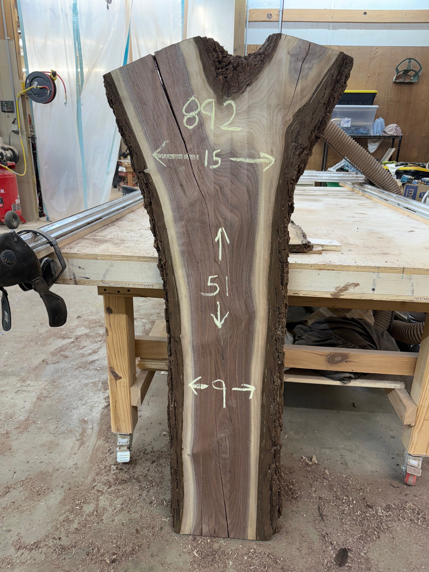 Reggie: 3-foot walnut /resin