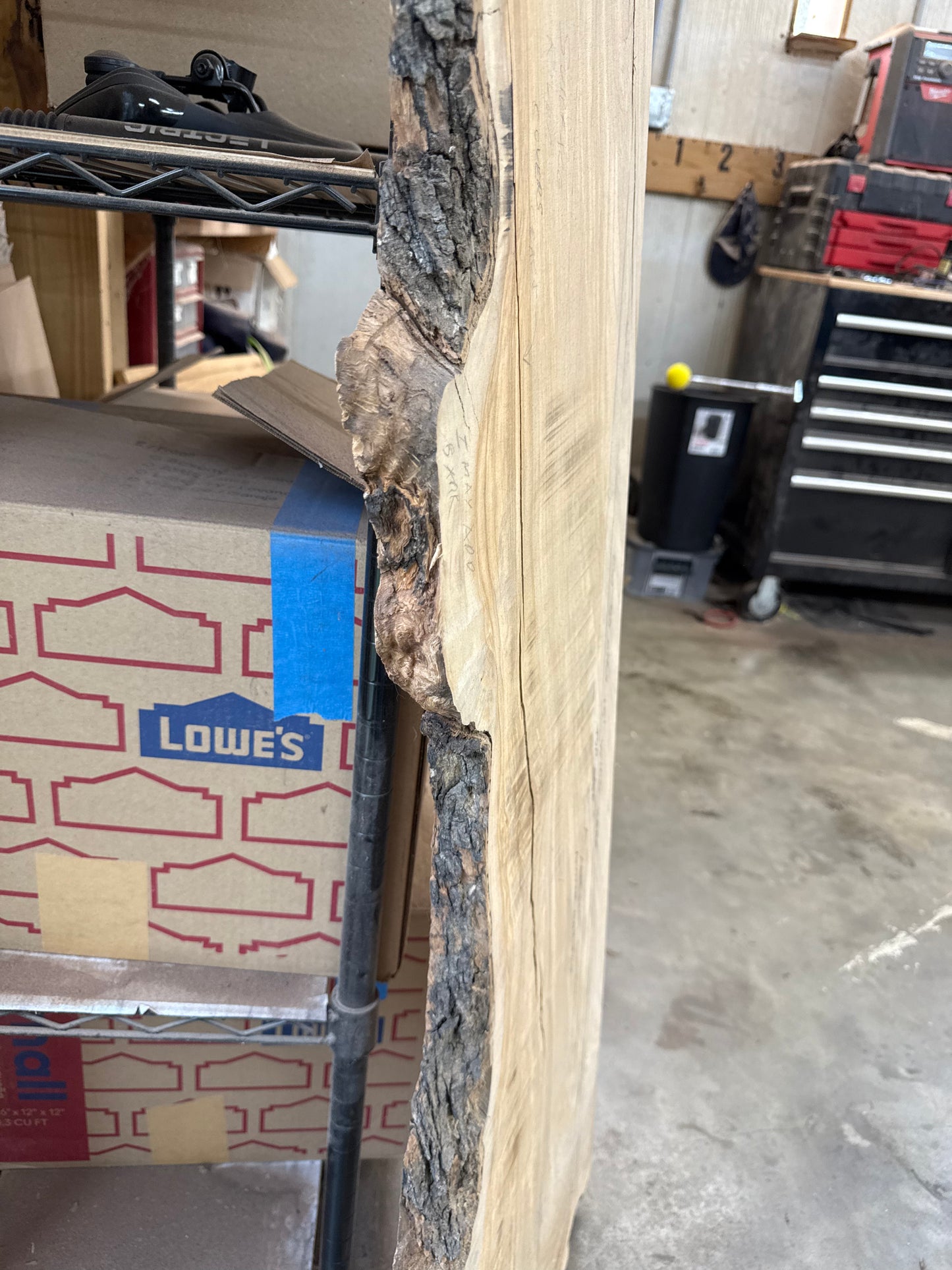 Aurelio: 3-foot Olivewood / Resin