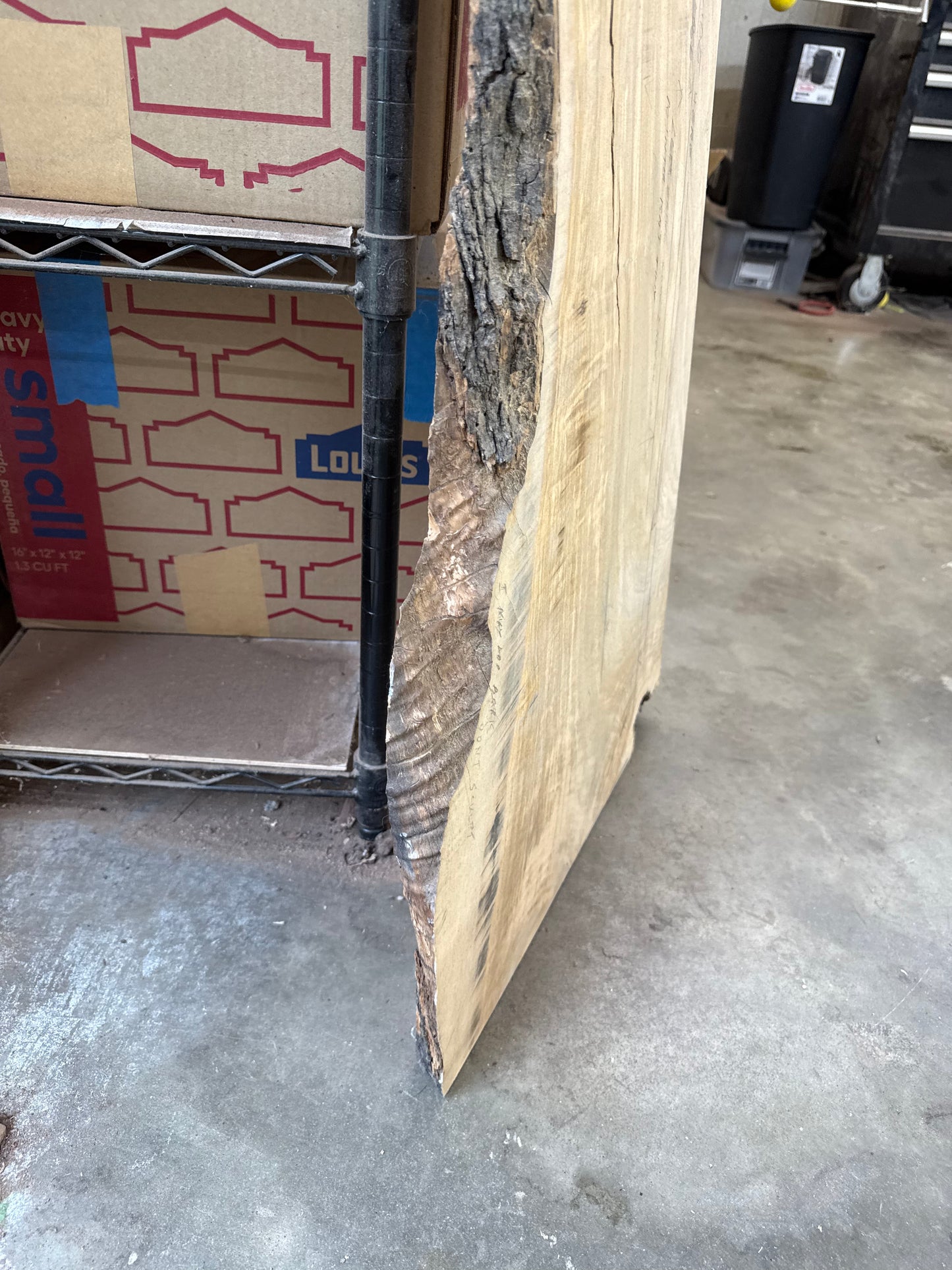 Aurelio: 3-foot Olivewood / Resin