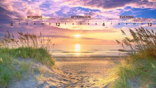 Horizon: Coastal Curve Sunstar