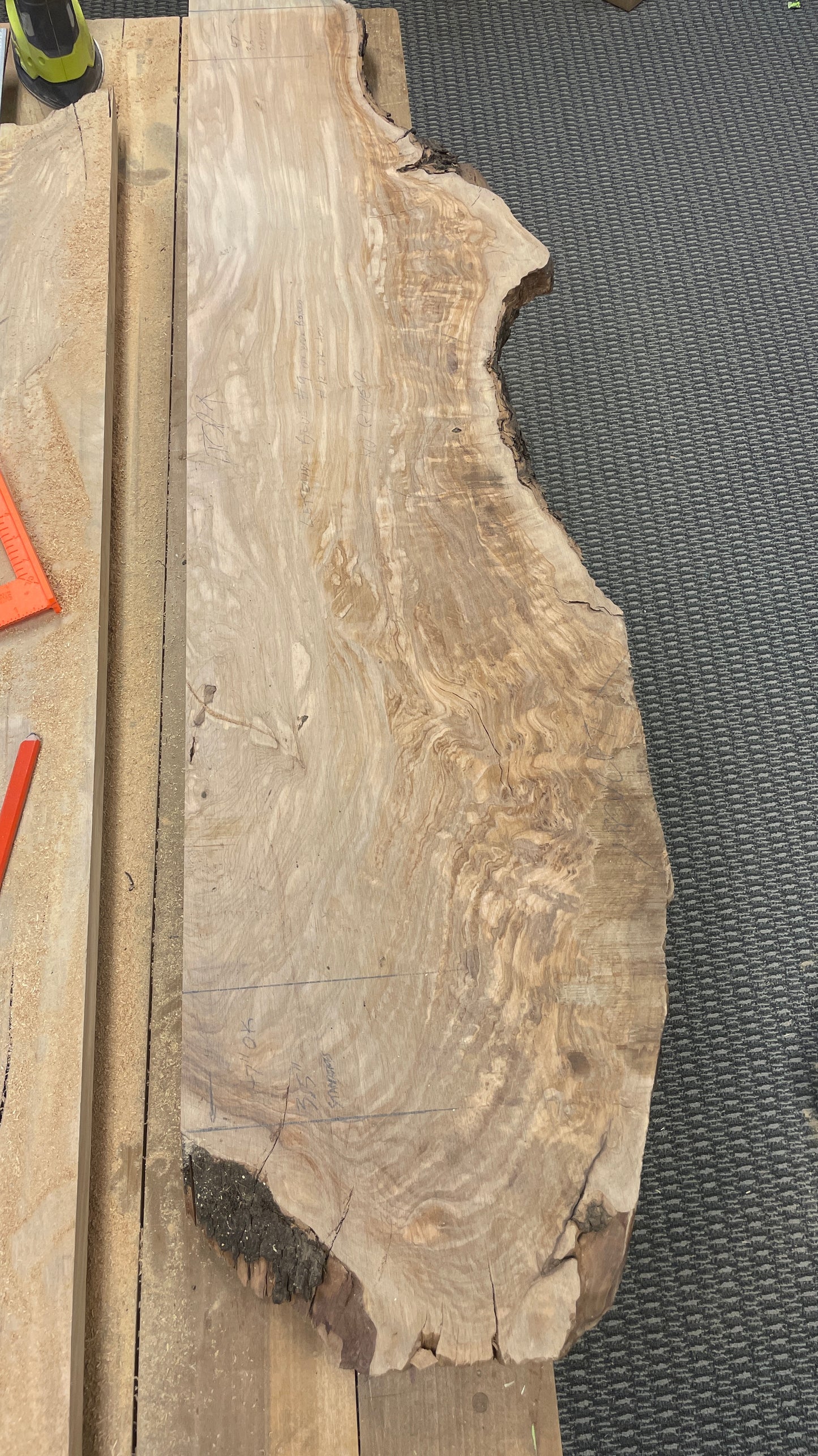 Aine: 3-foot olivewood / resin