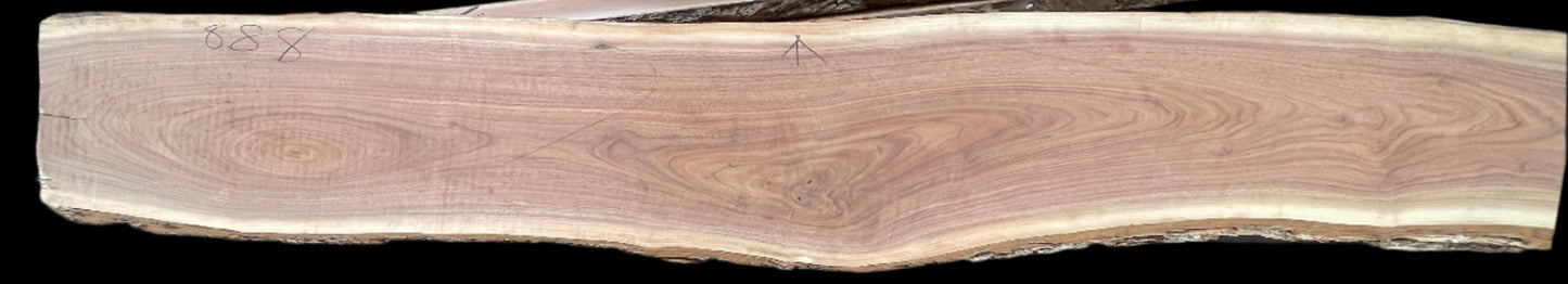 Finley: 5-foot live edge walnut / resin