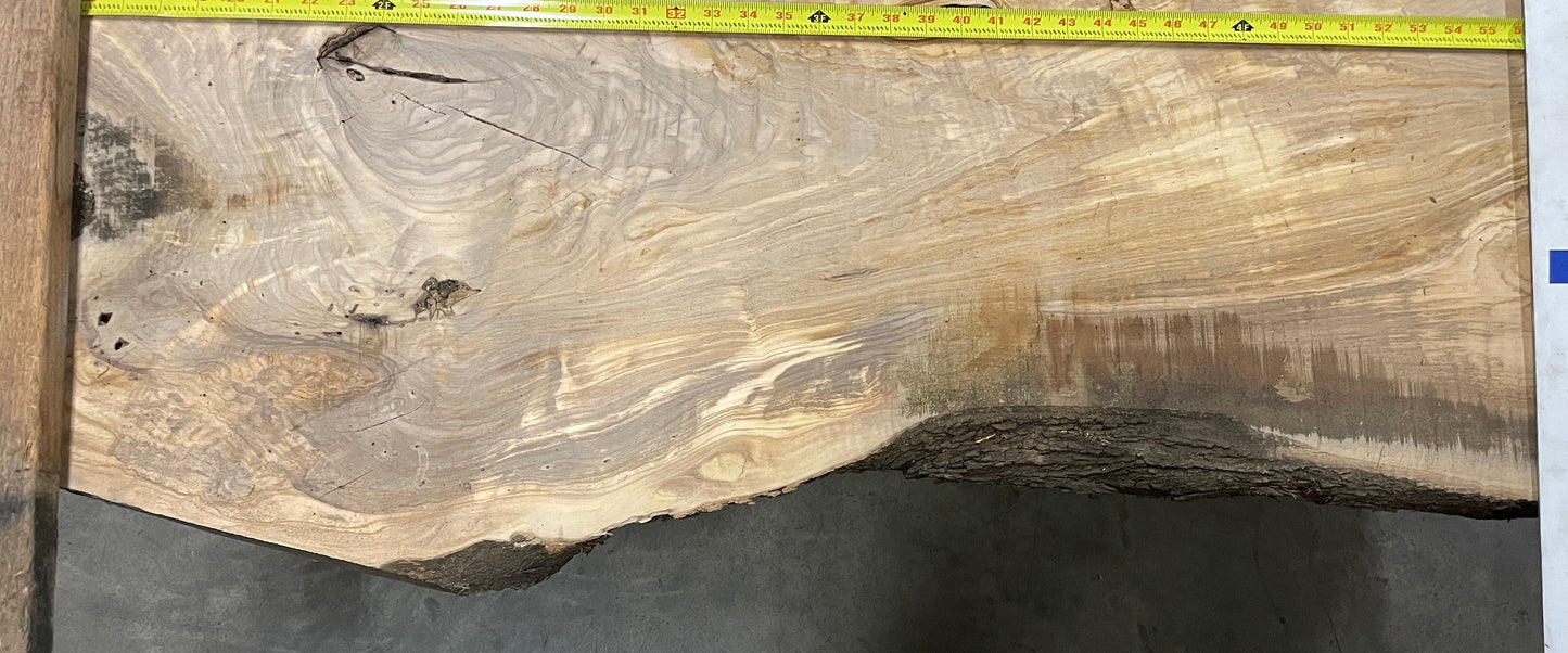Antonio: 3-foot Olivewood / Surface river