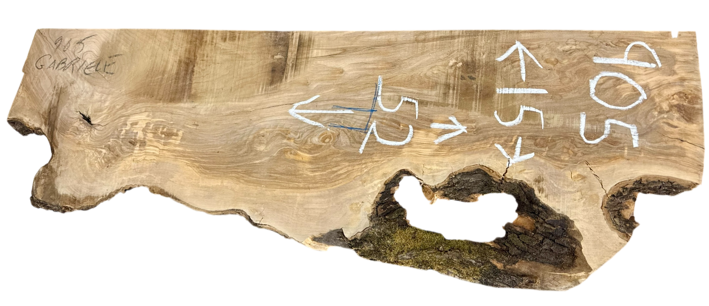 Gabriele: 3-foot Olivewood