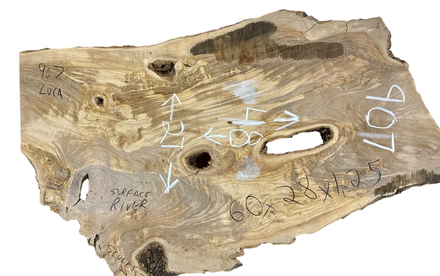 Luca: 3-foot Olivewood