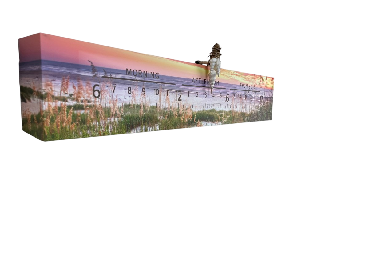 Seashell:3 - foot Fine Art Clock - Linear Clockworks
