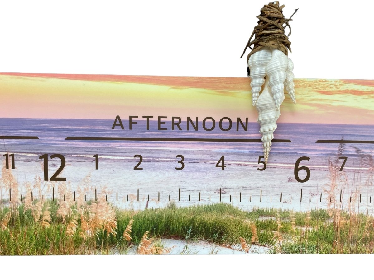 Seashell:3 - foot Fine Art Clock - Linear Clockworks