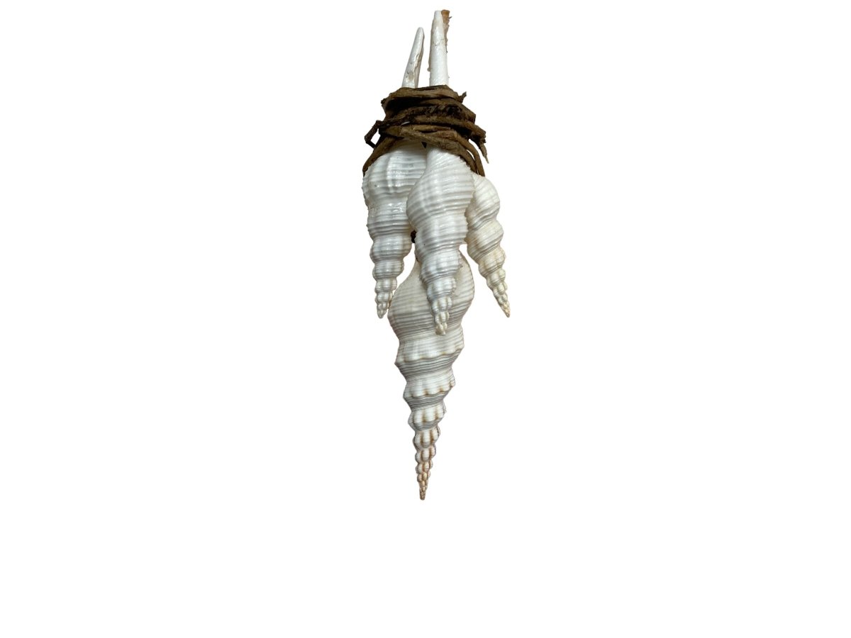 Seashell:3 - foot Fine Art Clock - Linear Clockworks