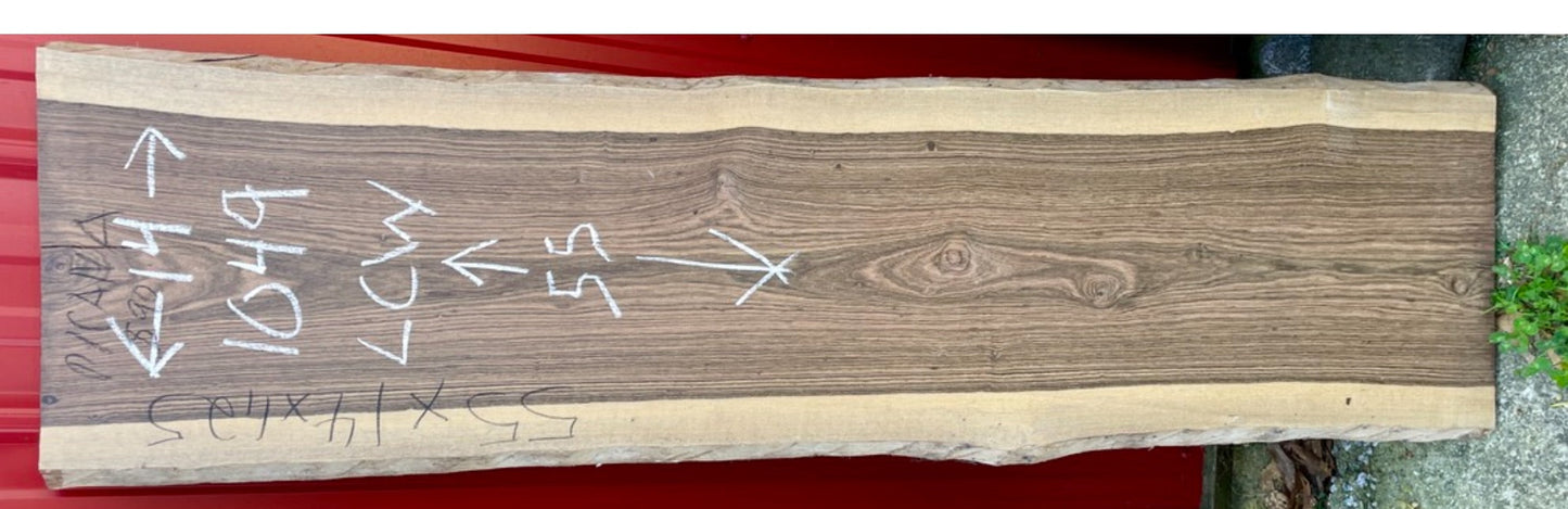 Paolo: 3-foot Picana-1102