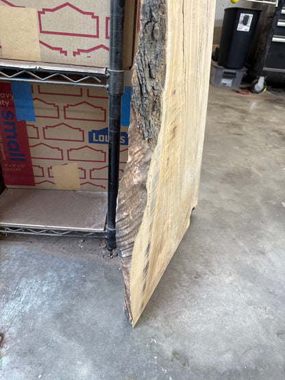 Aurelio: 3-foot Olivewood / Resin