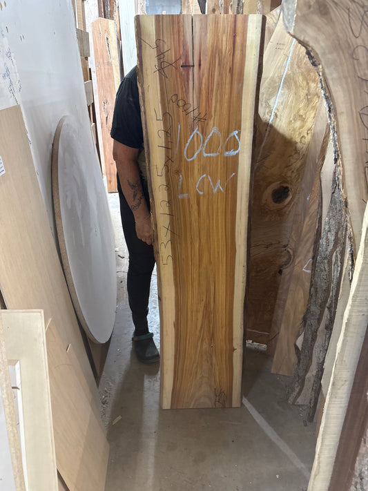 Elena: 3-foot Canarywood / Resin