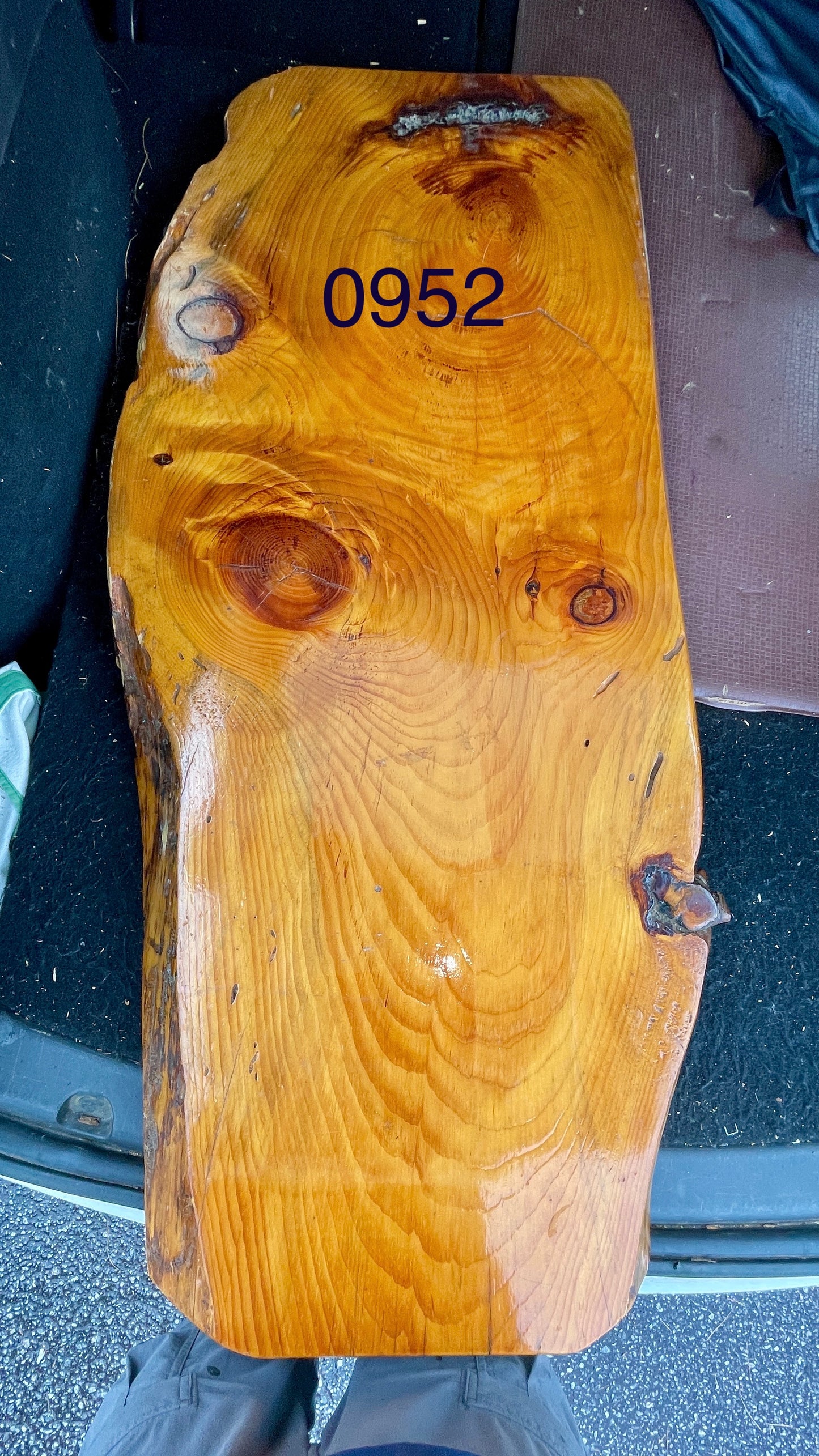 Evergreen: 3-foot pine / resin