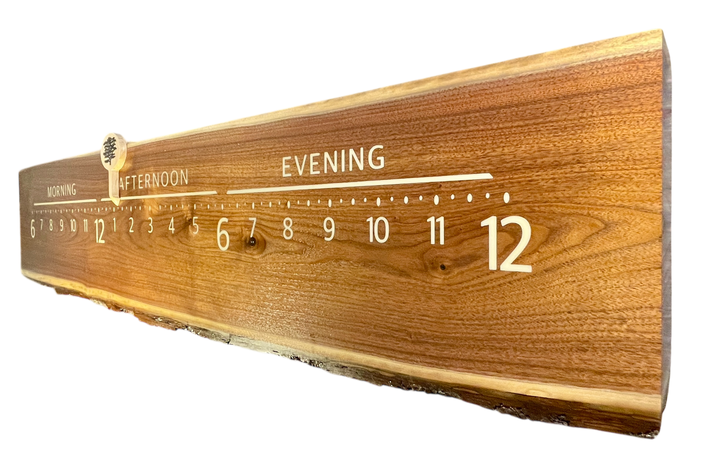 Reggie: 5-foot Walnut live edge with bark -1046