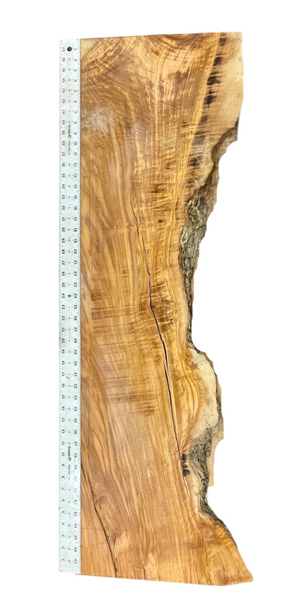Aurelio: 3-foot Olivewood / Resin