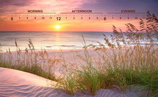 Horizon: Seagrass Sunrise