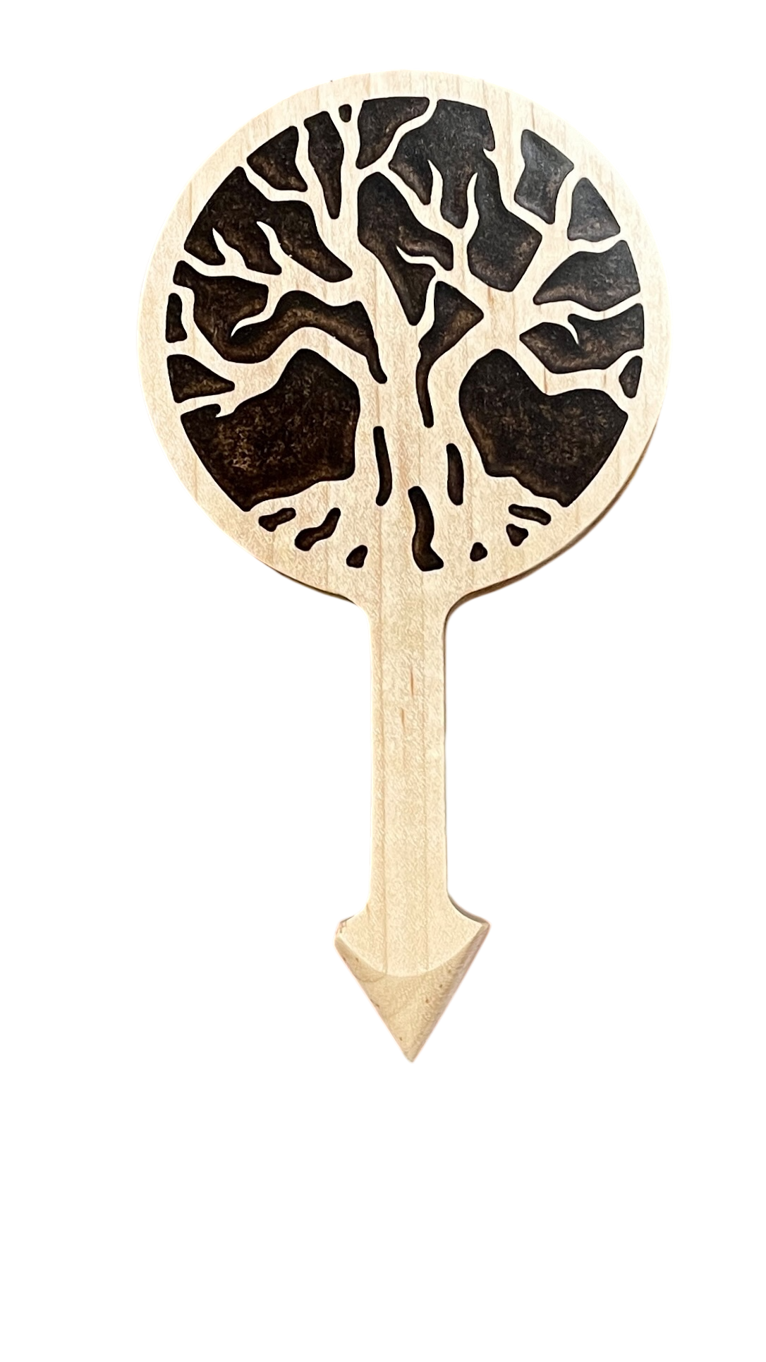 Alvaro: Bolivian Rosewood / Resin 5-foot-1129