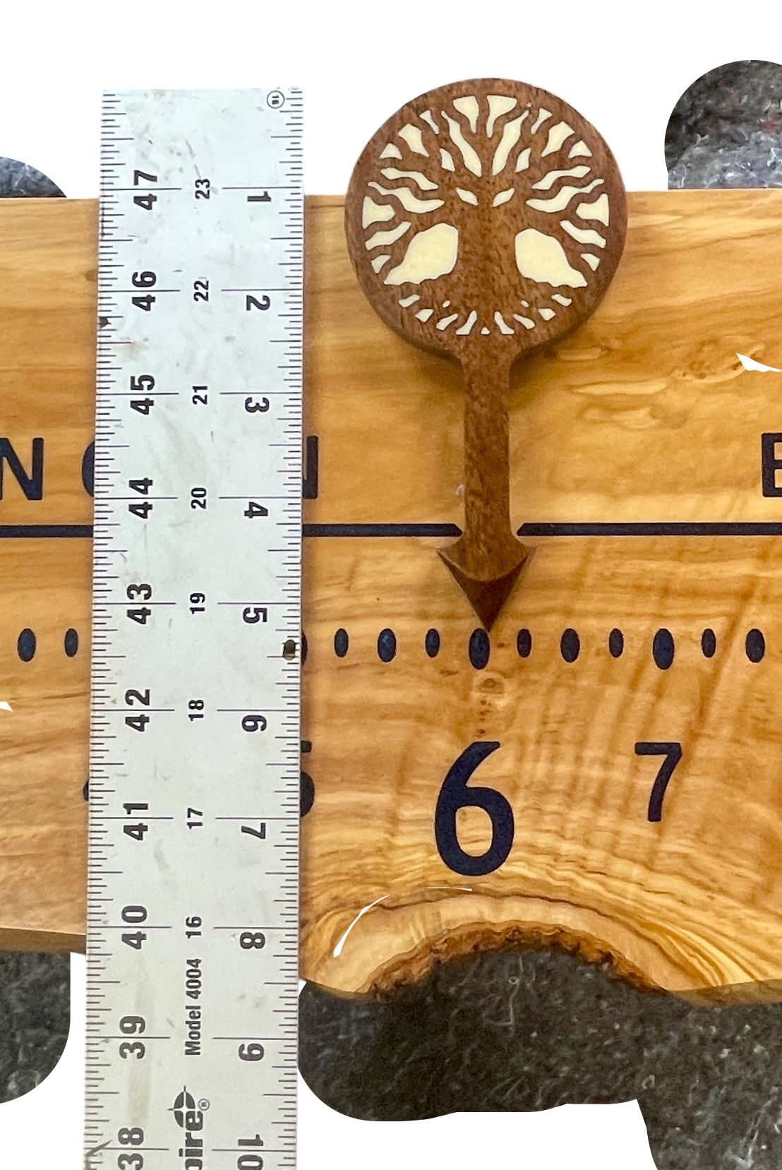 Chiara: 3-foot Olivewood / Resin