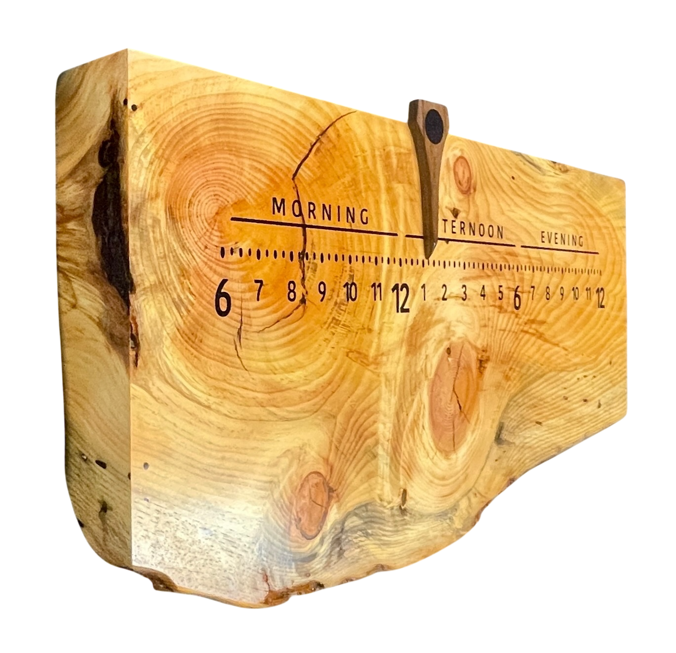 Evergreen: 3-foot pine / resin