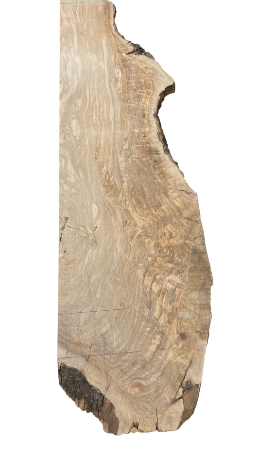 Aine: 3-foot olivewood / resin