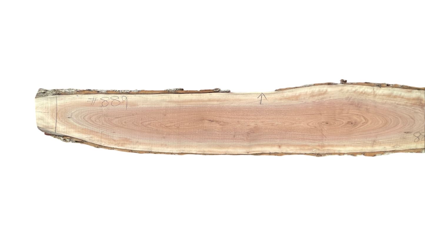 Mason: 5-foot live edge walnut / surface river