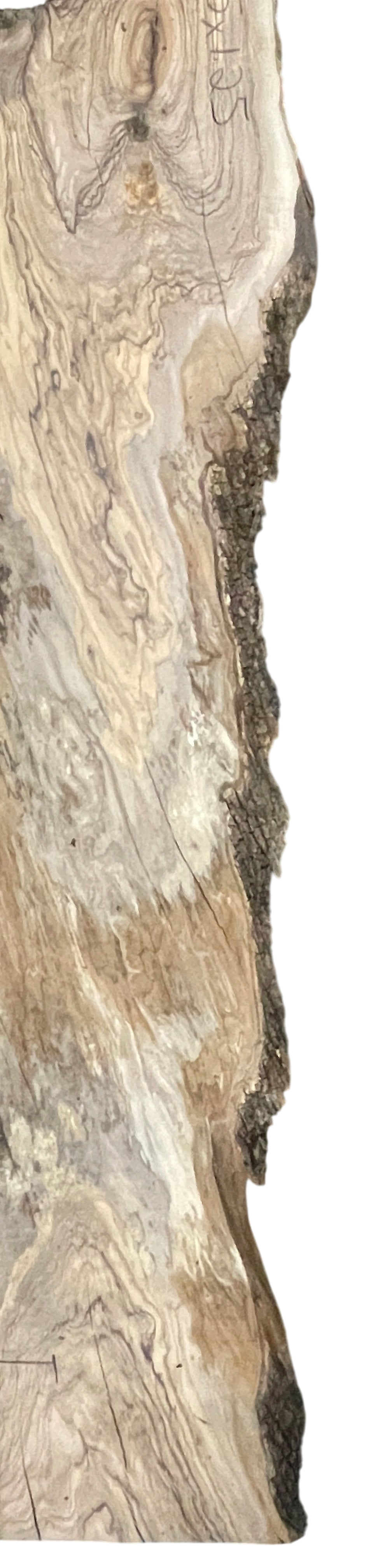 Alessia: 5-foot Olivewood through river