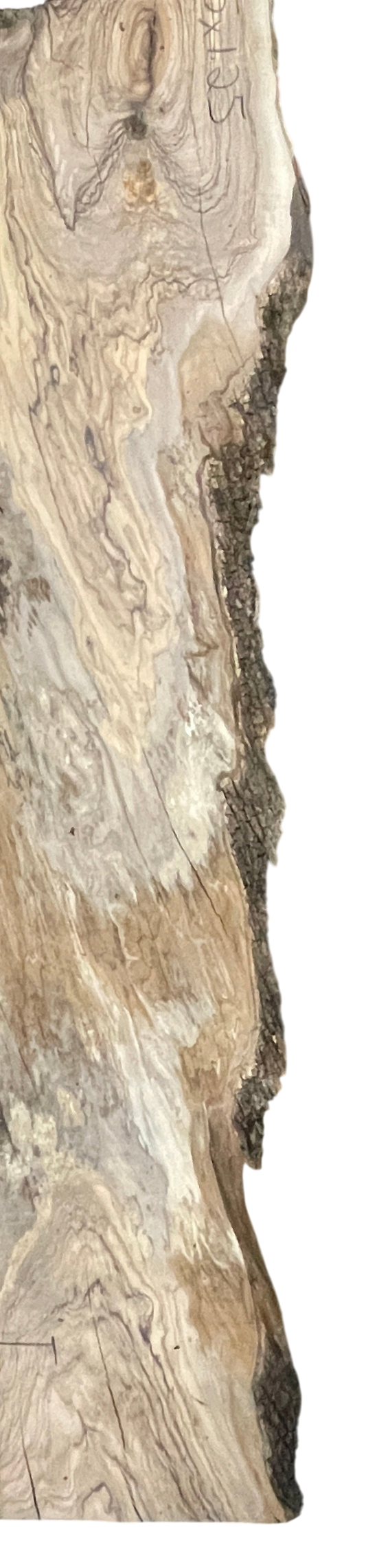 Alessia: 5-foot Olivewood through river
