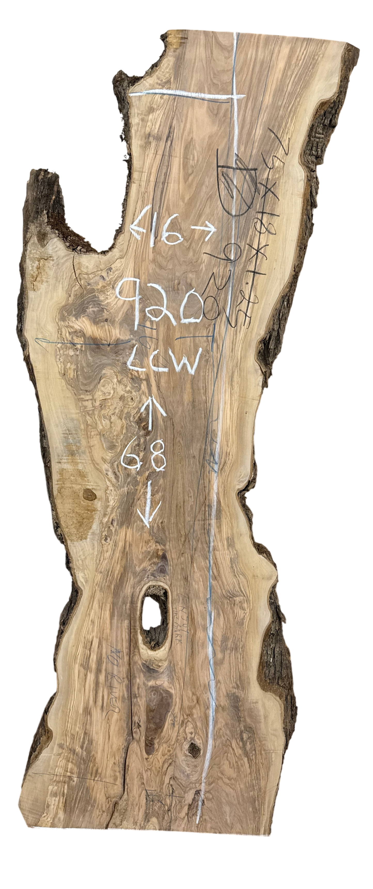 Adler: 5-foot Olivewood
