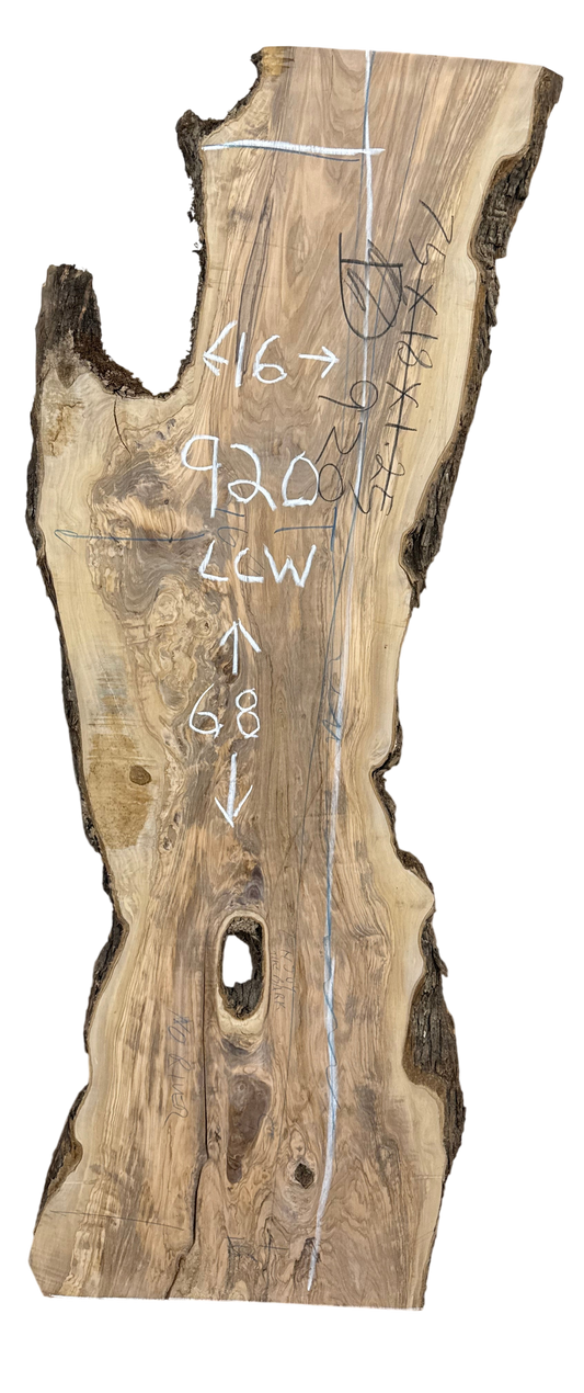 Adler: 5-foot Olivewood