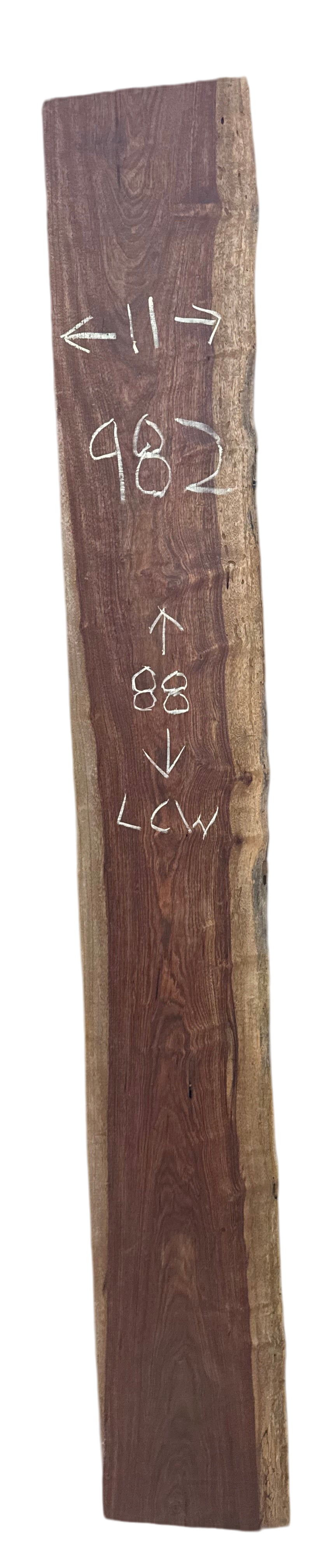 Camila: 3 foot Chechen Live edge no bark