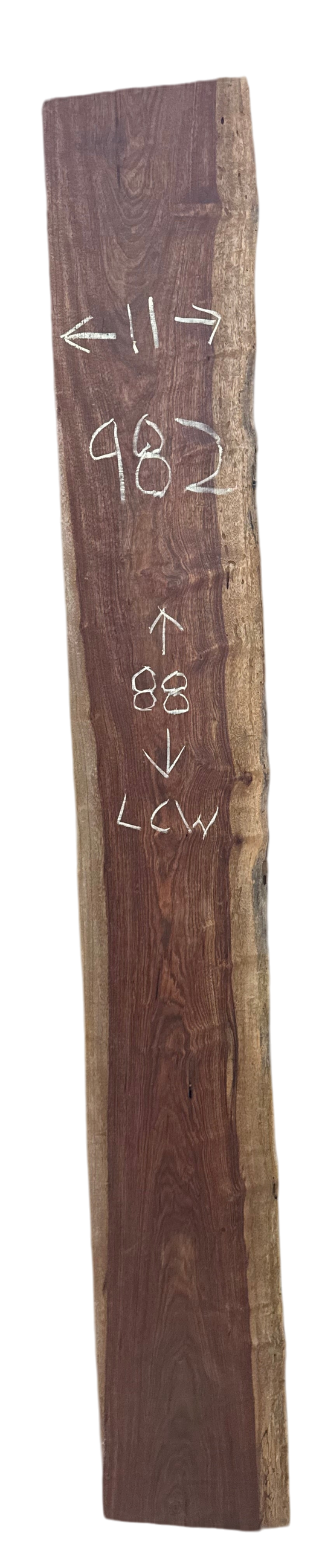 Camila: 3 foot Chechen Live edge no bark